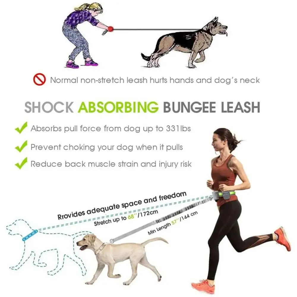 Adjustable Waist Elastic Reflective Handsfree Dog Leash with Two Storage Bags