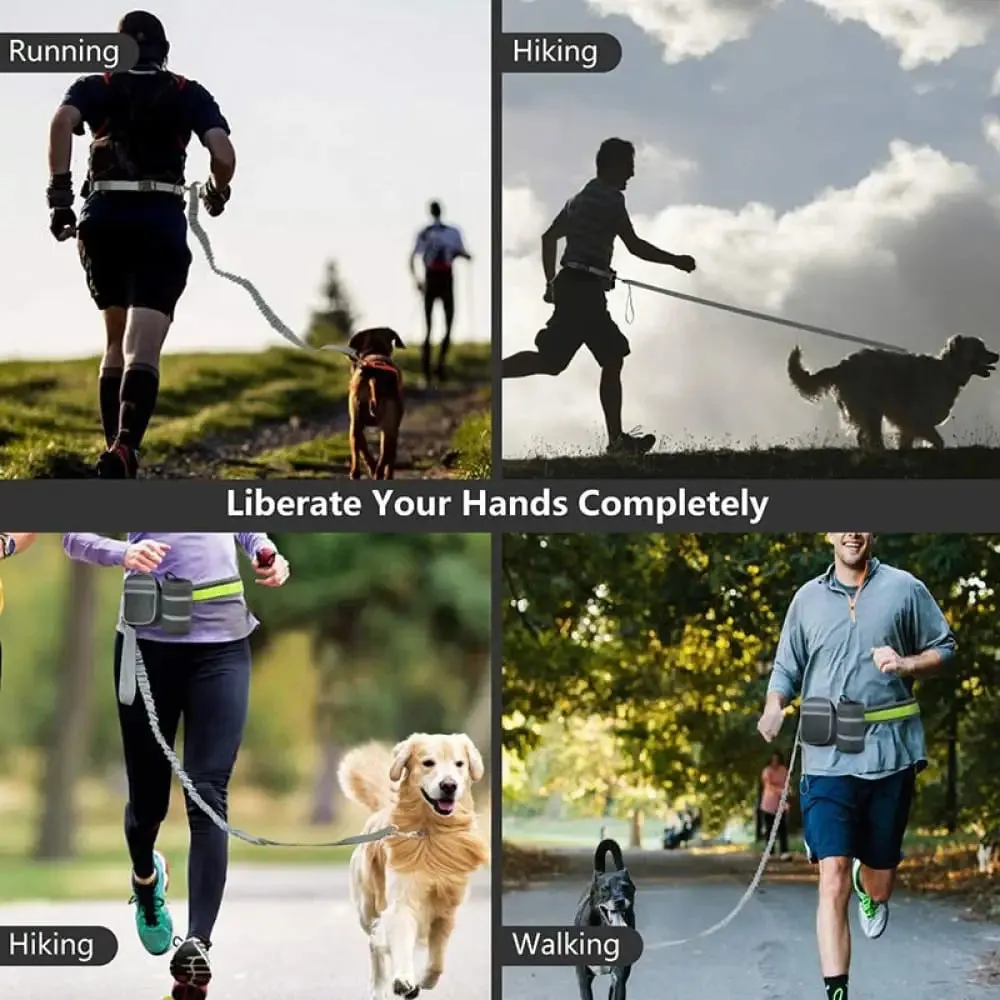 Adjustable Waist Elastic Reflective Handsfree Dog Leash with Two Storage Bags