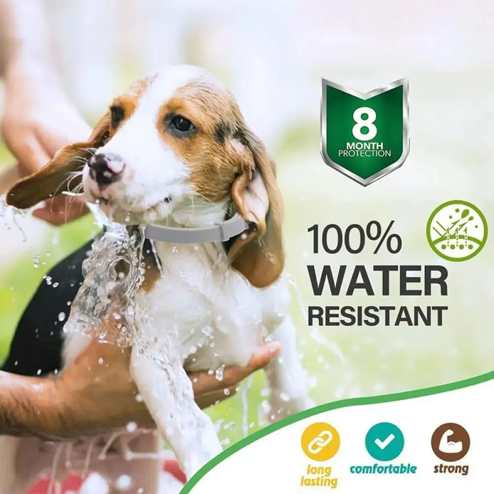 Adjustable Waterproof Natural 8 Month Protection Dog Flea and Tick Collar