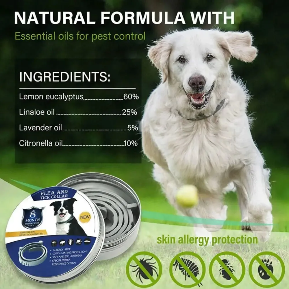 Adjustable Waterproof Natural 8 Month Protection Dog Flea and Tick Collar