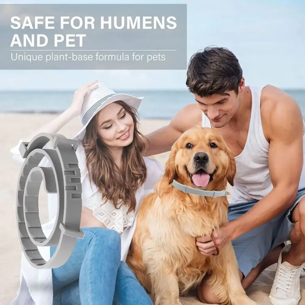 Adjustable Waterproof Natural 8 Month Protection Dog Flea and Tick Collar