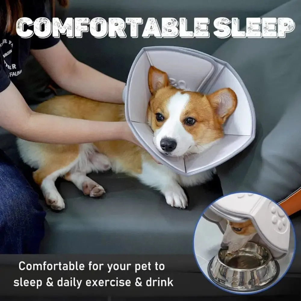 After Surgery Protective Adjustable Comfy Recovery Anti Licking Scratching Wounds Cone Collar for Dogs, Cats