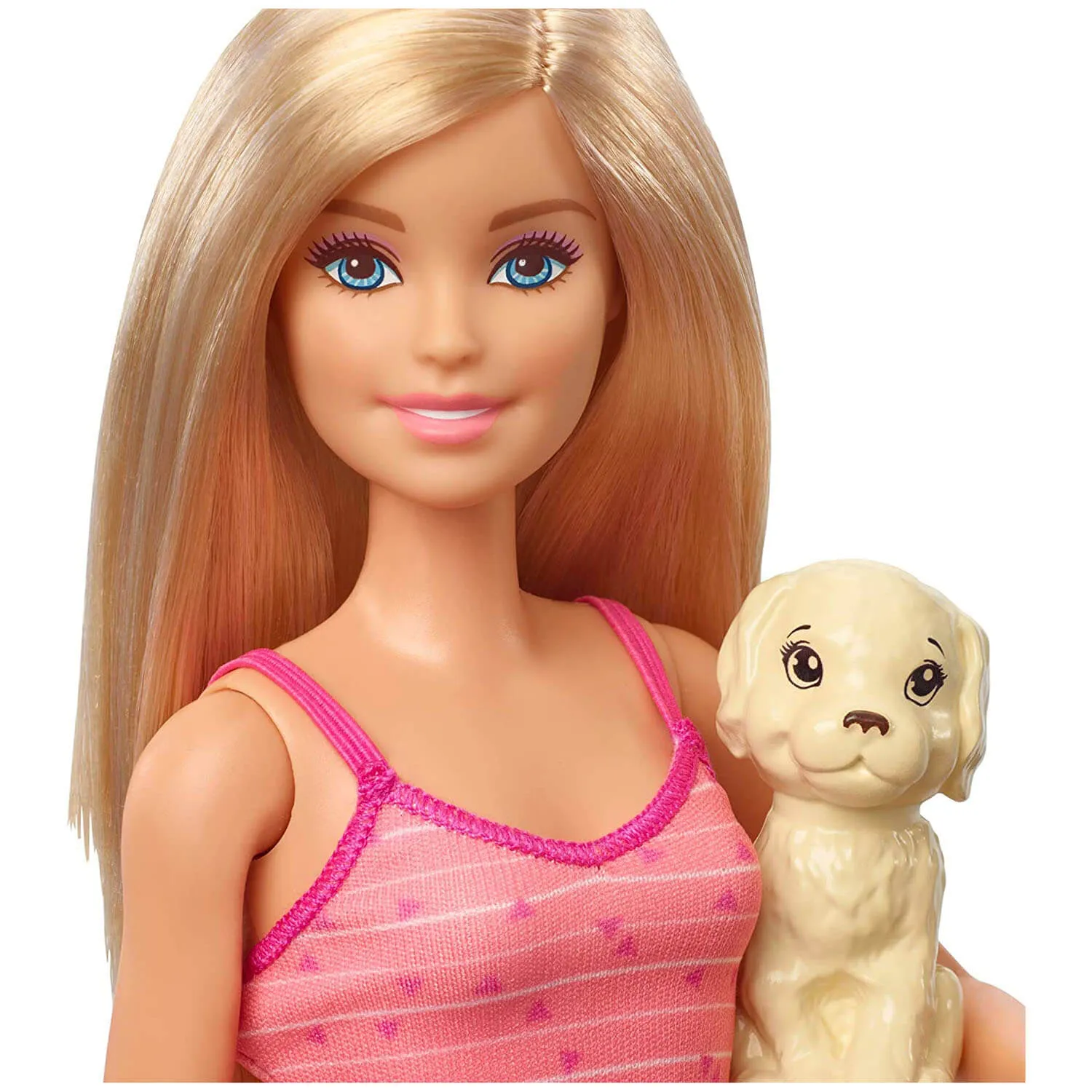 Barbie Doll With Pets and Accessories