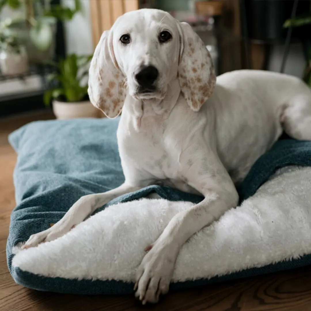 Bowl and Bone Bliss Dog Sleeping Bag Ocean