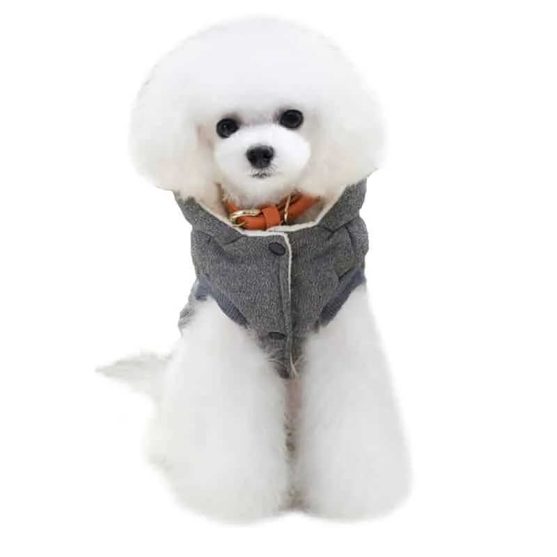 Cute Comfortable Winter Hooded Dog's Vest