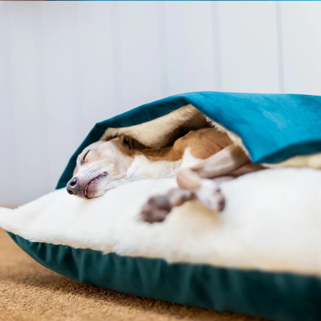 Cozy Velour Dog Snuggle Bed - Ultra Soft & Comfy Pet Sleeping Nest
