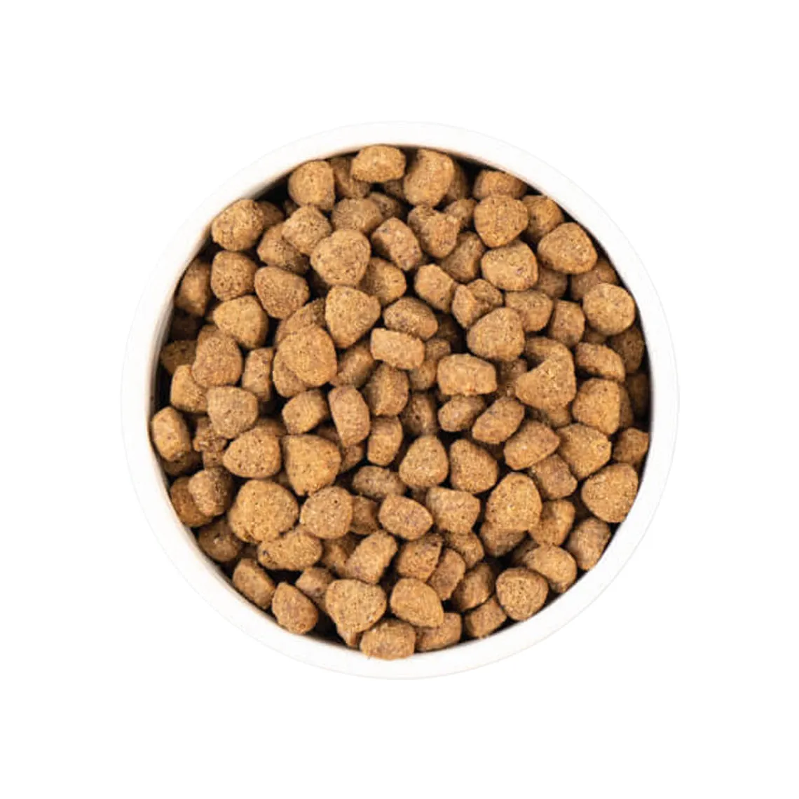 Earthborn Holistic Unrefined Ancient Grains & Superfoods Dry Dog Food