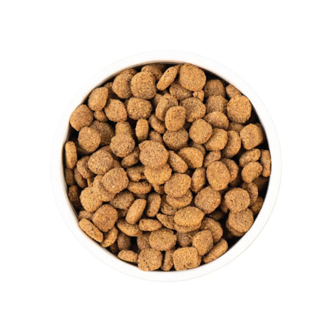 Earthborn Holistic Unrefined Ancient Grains & Superfoods Dry Dog Food