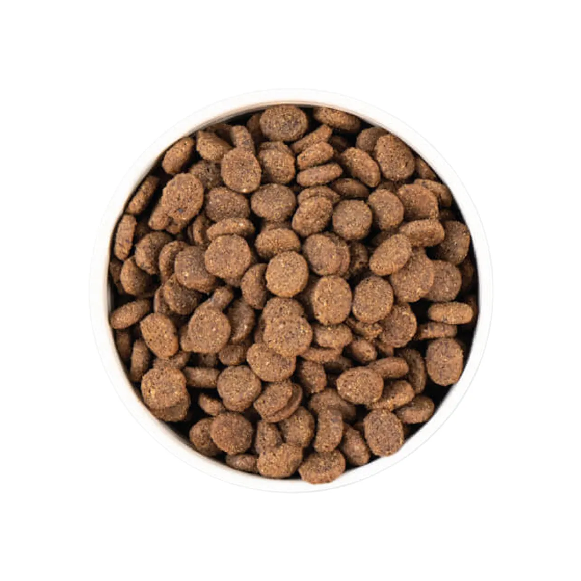 Earthborn Holistic Unrefined Ancient Grains & Superfoods Dry Dog Food