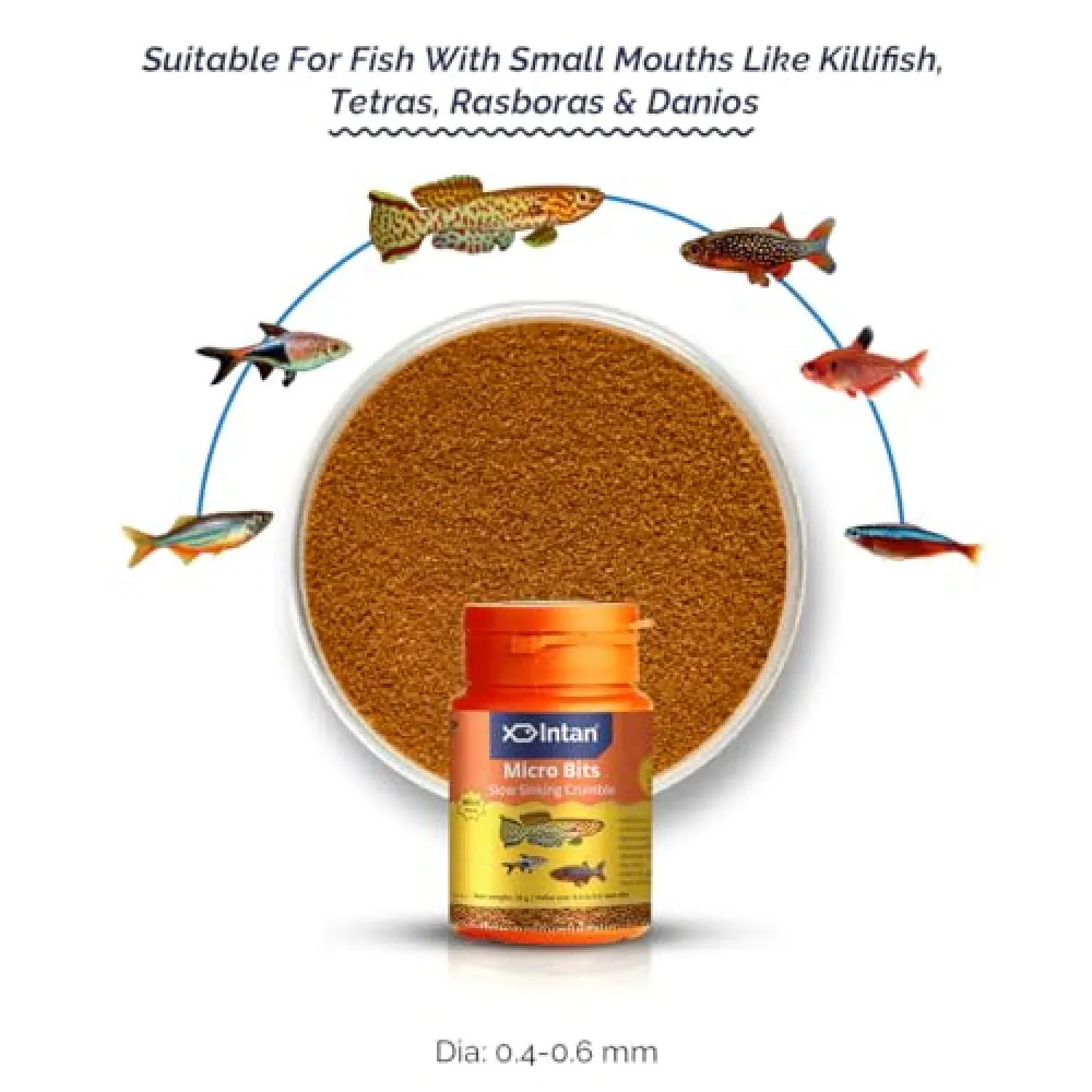 Growel Intan Micro Bits Fish Food