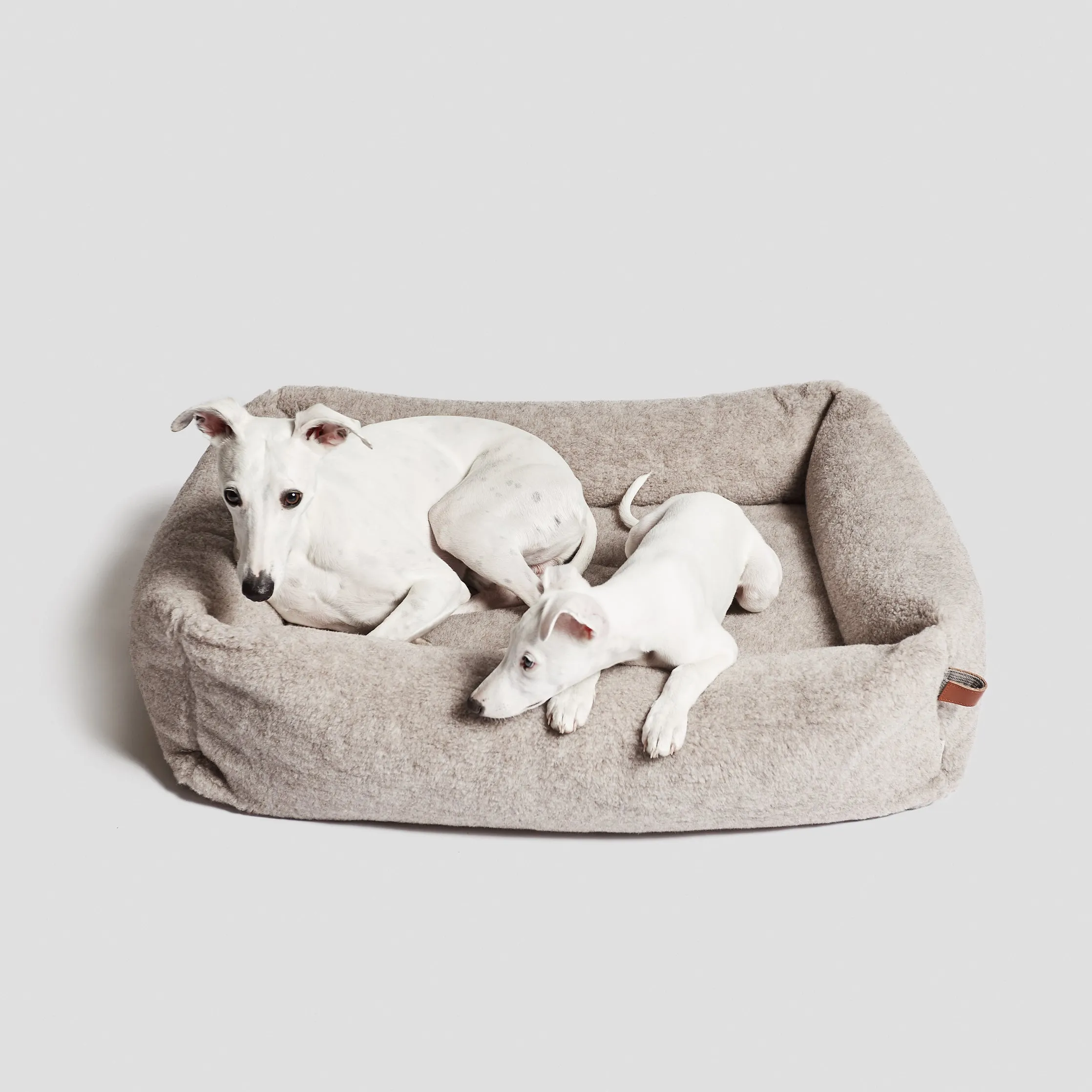 Deluxe Teddy Sleepy Cloud 7 - Plush and Comfortable