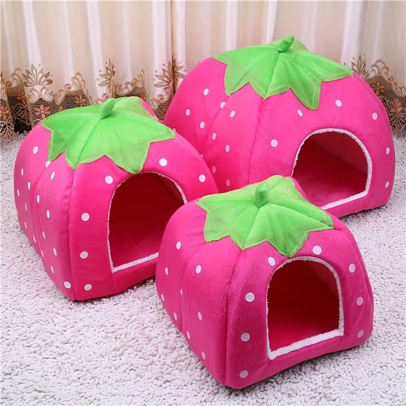Strawberry House for Pets